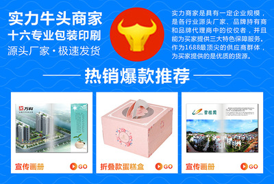 工廠直營畫冊彩頁四折頁產品畫冊定制黑白說明書設計廣告宣傳冊